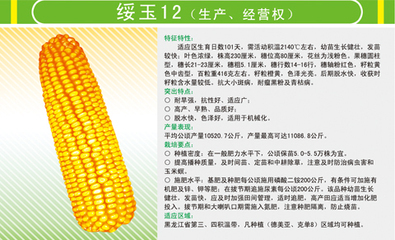 核桃苗 农作物种子、种苗 找供应 北京114农业网